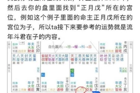 2025年2月21日丑时男命紫微斗数全解盘