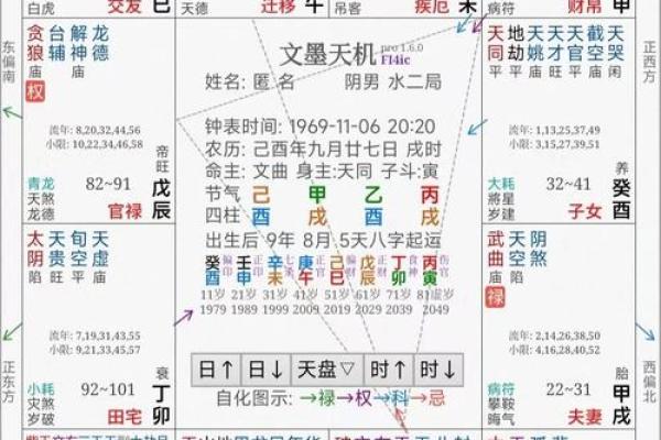 2025年3月7日寅时女命紫微斗数全解盘 2025年3月7日寅时女命紫微斗数全解盘