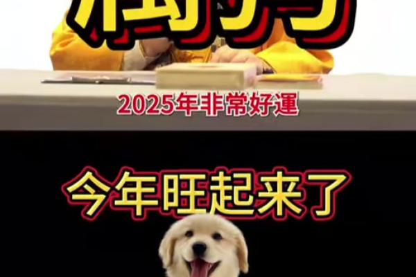2025属狗人最旺的颜色_2025年属狗人最旺颜色揭秘提升运势的关键选择 2025属狗人最旺的颜色_2025年属狗人最旺颜色揭秘提升运势的关键选择