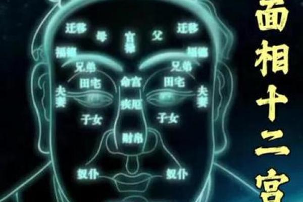 夫妻宫化禄进官禄宫_夫妻宫化禄进官禄宫看配偶长相