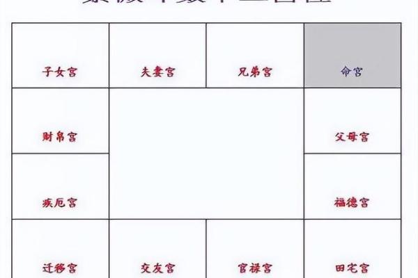 2025年3月23日子时女命紫微斗数全解盘 2025年3月23日子时女命紫微斗数全解盘