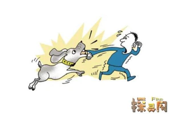 女人梦见狗咬是什么预兆 女人梦见狗咬是什么预兆