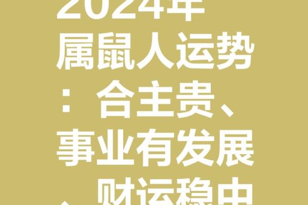 2023年属鼠人的全年运势