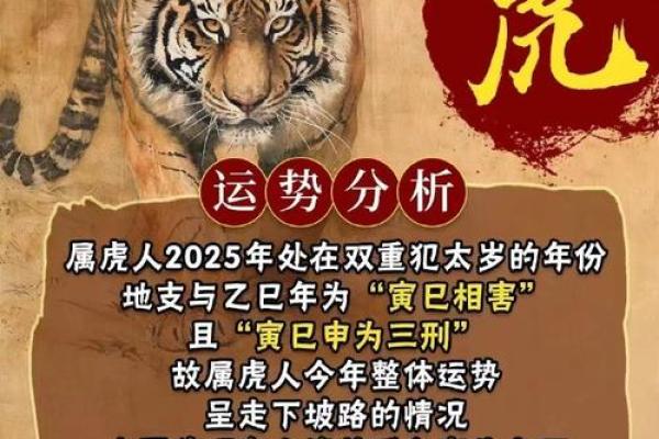 属虎2022年的运势 属虎2022年的运势