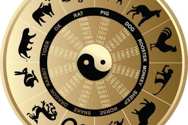 兵在精而不在多什么生肖