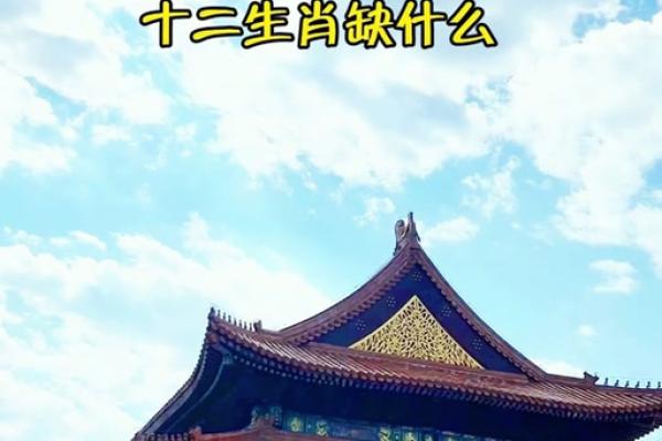 隔岸观火打一生肖