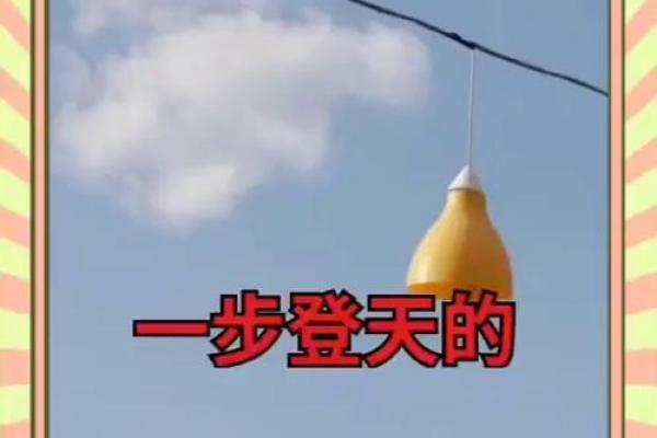 一飞冲天的生肖正确答案