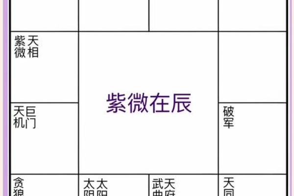 2025年2月15日子时男命紫微斗数全解盘 2025年2月15日子时男命紫微斗数全解盘