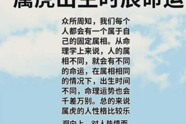 2022年属虎人的全年运势 2022年属虎人的全年运势