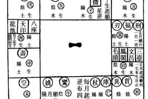 2025年3月20日子时男命紫微斗数全解盘