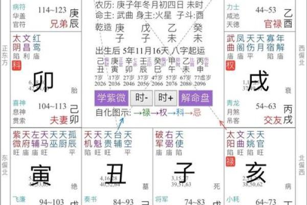 2025年3月20日子时男命紫微斗数全解盘