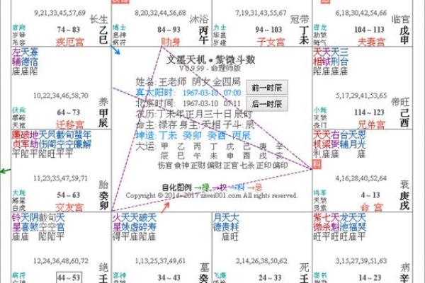 2025年3月9日丑时女命紫微斗数全解盘