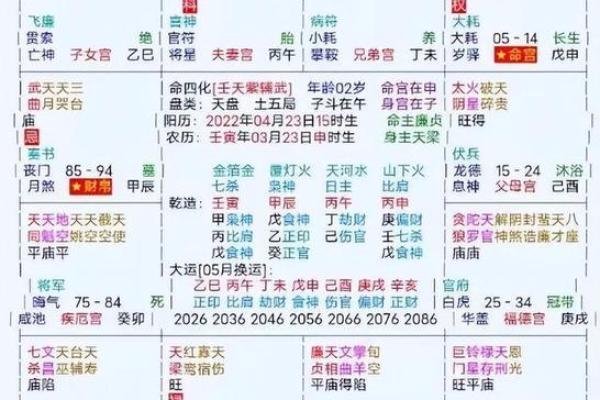 2025年2月27日子时男命紫微斗数全解盘