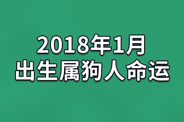 1958年属狗命运解析运势性格与未来展望 1958年属狗命运解析运势性格与未来展望