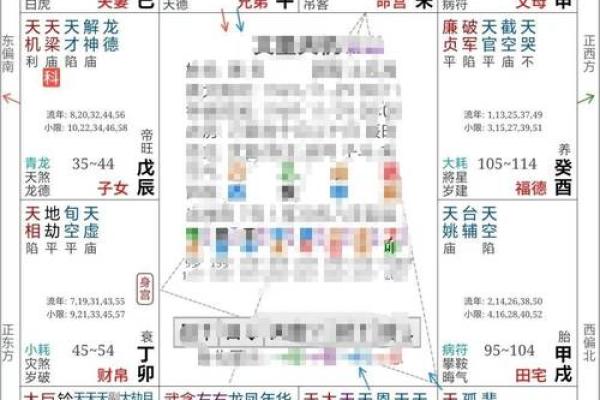 2025年3月21日子时女命紫微斗数全解盘