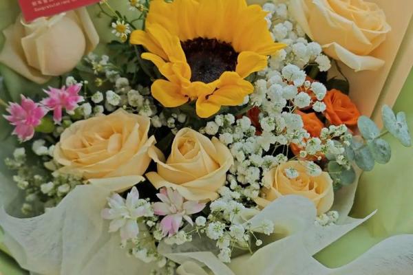 4月份提新车的黄道吉日