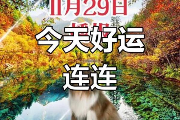 1982年属狗今天财运_1982年属狗今天财运如何 1982年属狗今天财运_1982年属狗今天财运如何