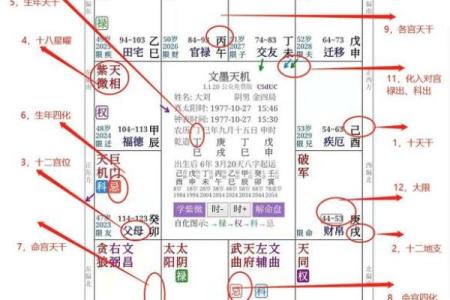 2025年3月23日子时女命紫微斗数全解盘