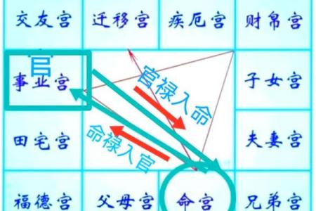 2025年2月20日子时男命紫微斗数全解盘