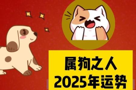 2025年属狗人几岁年龄计算与运势解析