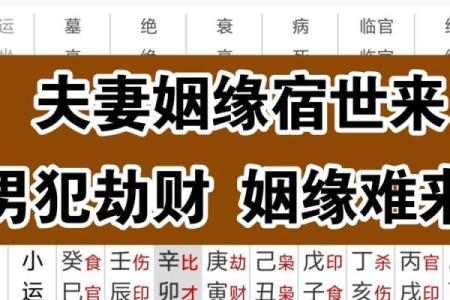 地劫入财帛宫财运波动与破解之道