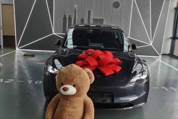 2021.4.29适合提车吗 2021.4.29适合提车吗