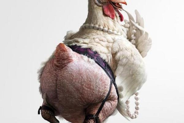 色中饿鬼是什么动物 色中饿鬼是什么动物