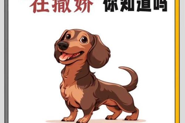 梦见小狗和自己特别亲近 梦见小狗和自己特别亲近