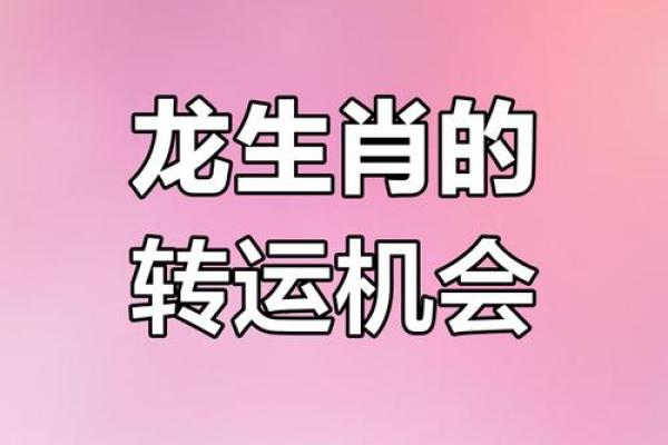 2025年属龙运气_2025年属龙人全年运势解析逐月运程大揭密