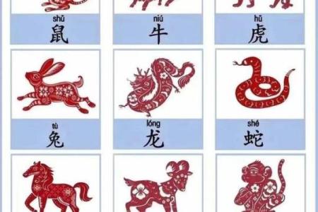 五花八门一地财打一个生肖