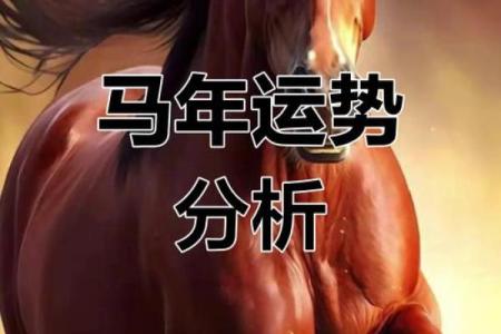 属马人2024年全年运势_属马人2024年全年运势运程