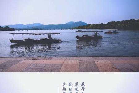 西湖明月猜一生肖