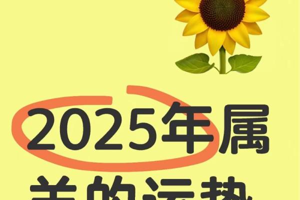 2025属羊男的全年运势如何_2025年属羊男全年运势详解事业财运感情全解析