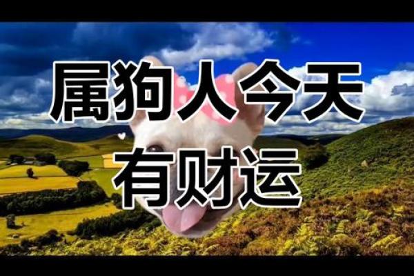 属狗明天横财偏财运 属狗明天横财偏财运好吗