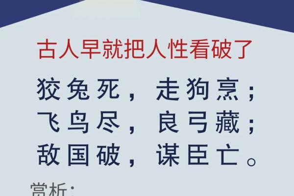 兔死狐悲是什么生肖