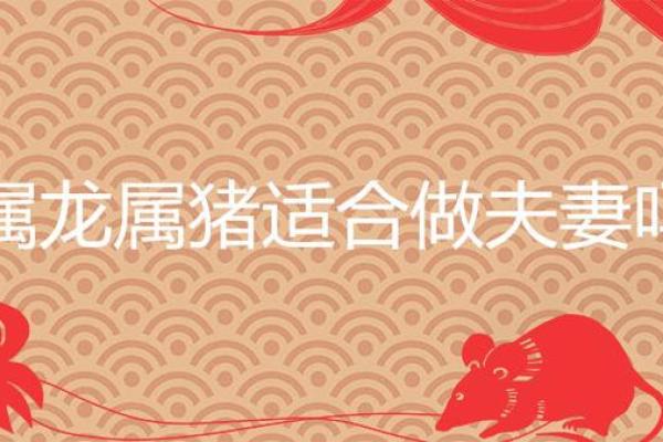 男属猪女属龙婚配合适吗 农历七月生肖婚配解析男猪女龙是否天生一对