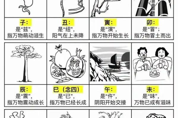 贪生怕死是什么生肖