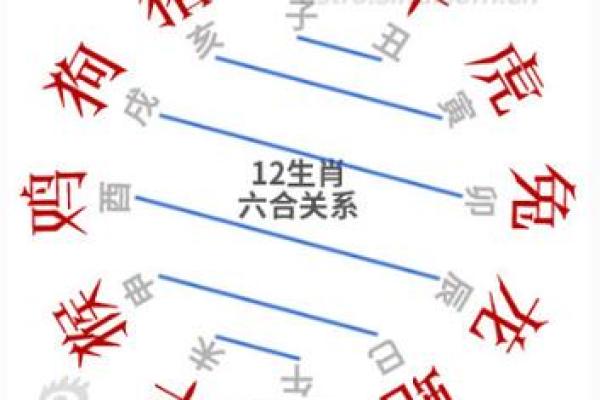 顺藤摸瓜是什么生肖