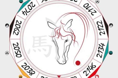 2025年属马今年多大_2025年属马人年龄解析今年多大一算便知
