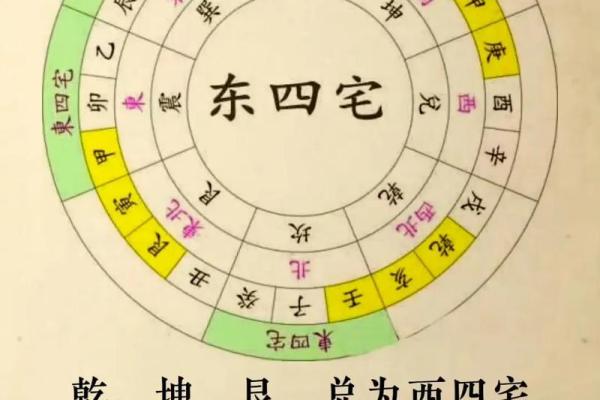 明日属马人运势财运全解析事业顺利吗速看吉凶预测