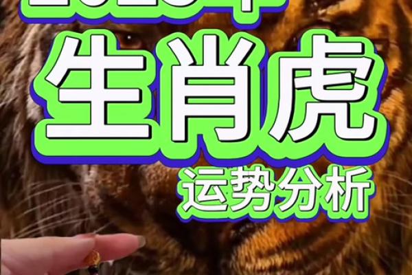 82年属狗2025全年运势_2025年属狗全年运势详解82年出生者必看