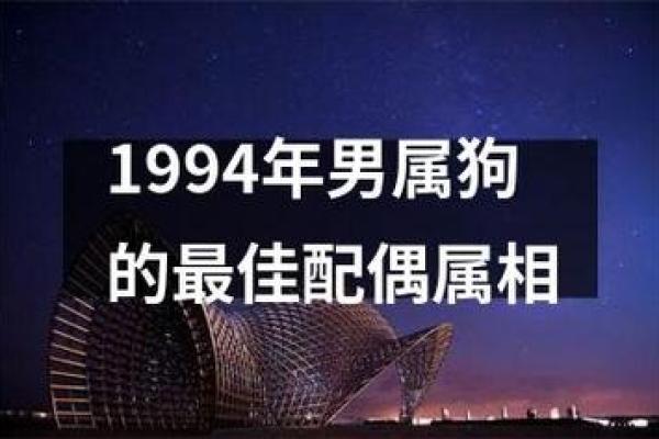 94属狗的属相婚配表 94年属狗最佳婚配表属相配对指南 94属狗的属相婚配表 94年属狗最佳婚配表属相配对指南