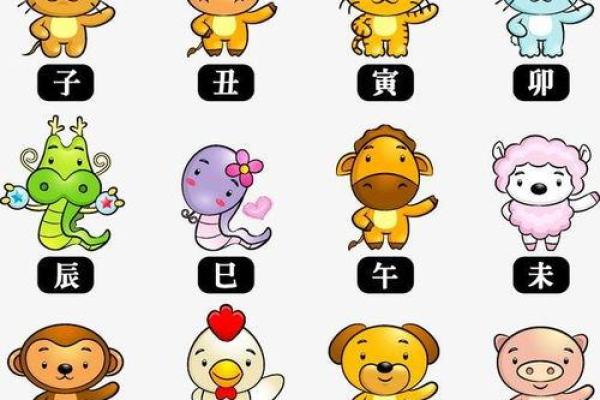 2020是什么生肖 2020是什么生肖