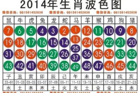 天伦之乐是什么生肖