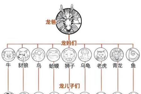 1988年属龙人的姻缘_1988年属龙人的姻缘会不会离婚