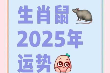 84年属鼠2025年的全年运势