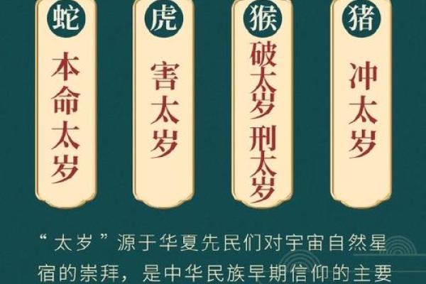 2025属猪犯太岁吗_2025年属猪犯太岁吗运势解析与化解方法