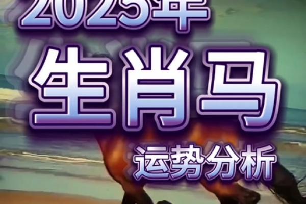02年的马今年运势_02年的马今年运势怎么样