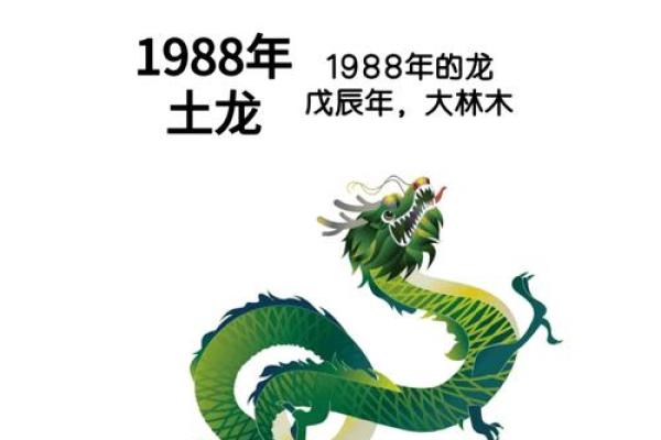 1976年生肖龙2025年运势_1976年属龙人2025年全年运势解析运程趋势全掌握 1976年生肖龙2025年运势_1976年属龙人2025年全年运势解析运程趋势全掌握