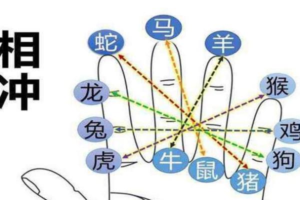 家喻户晓指什么生肖